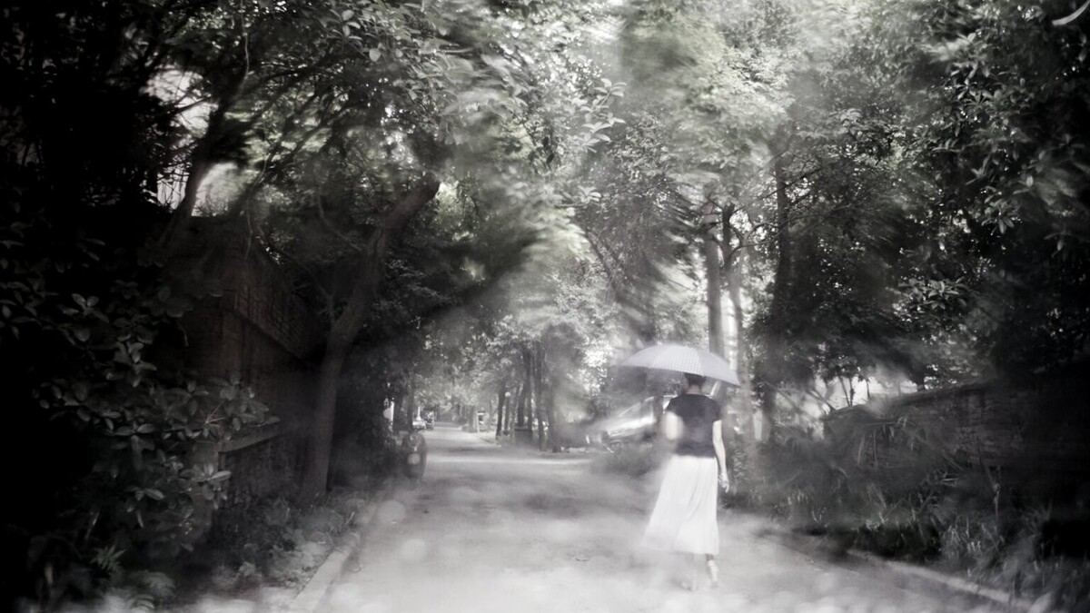 雨中看到她的时候,会泛起甜蜜畅想。