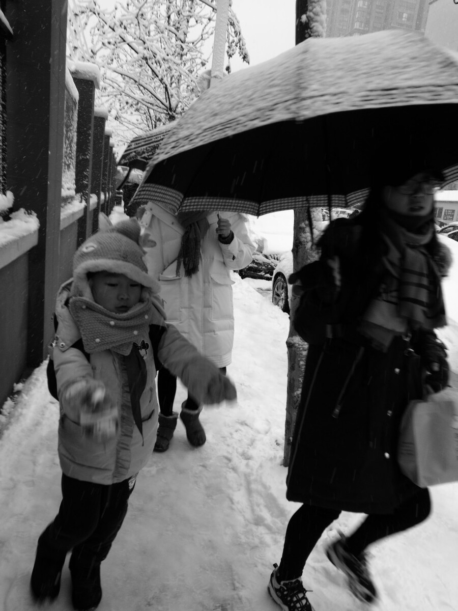 我爱雪