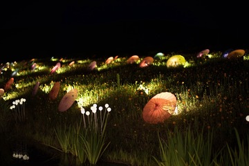 20170617-DSC_0855