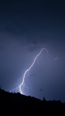 36675