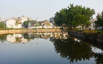 18955