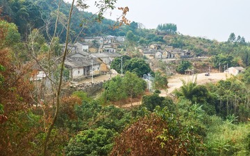 18550
