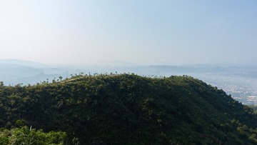 18039