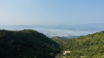 18038