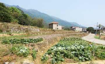 19053