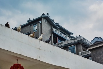 19040