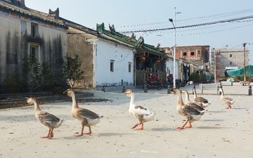 18947