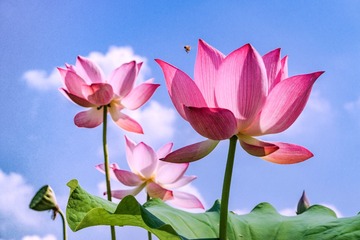 001