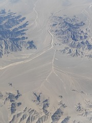 1000027914