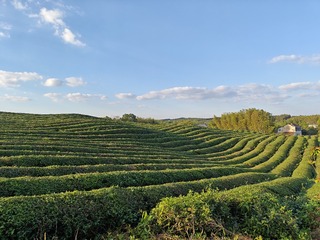 1000031760