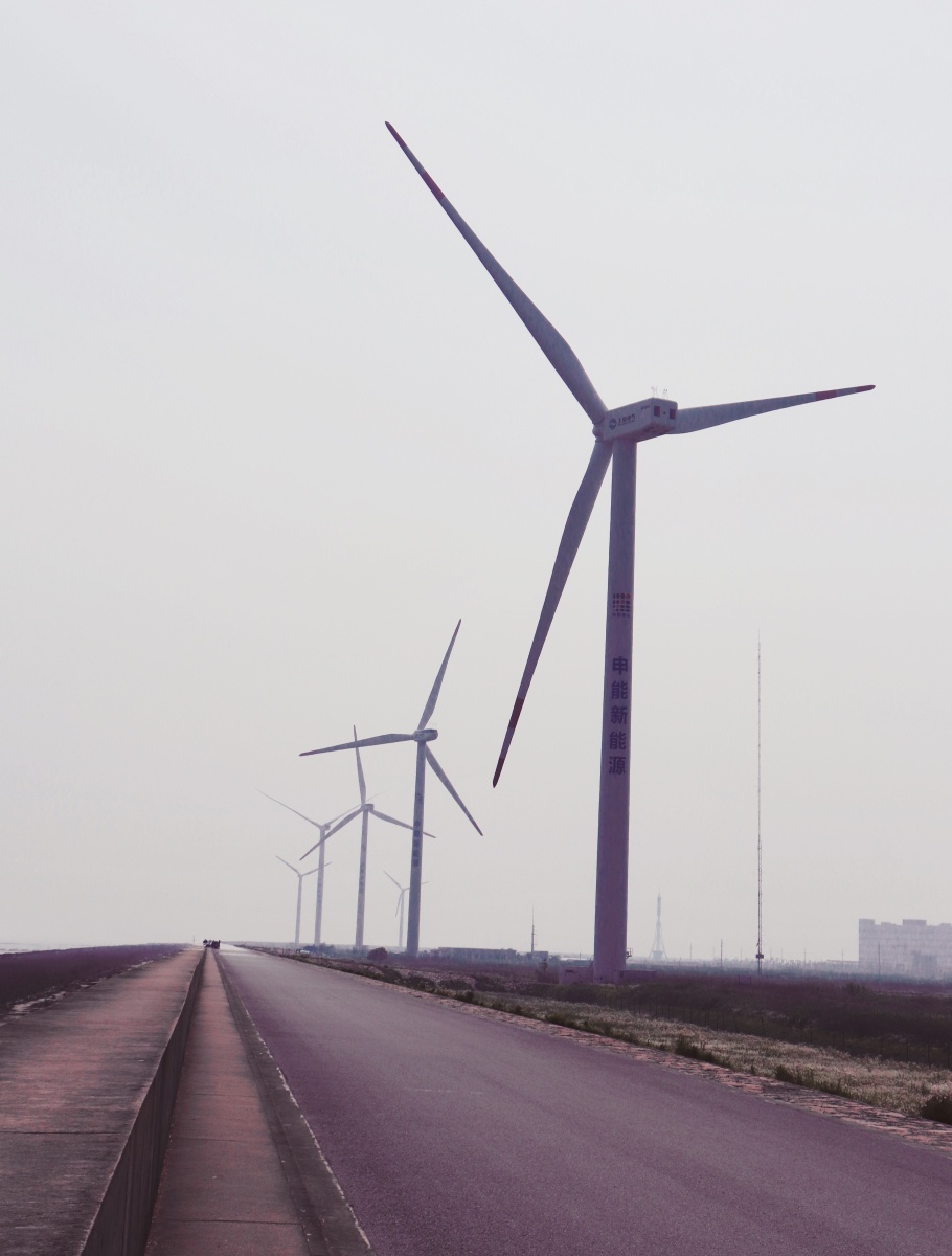 上海的风车湾能看见东海大桥