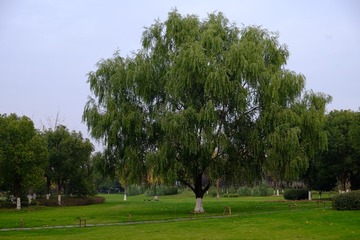 BD69927F-5D38-4BAE-A9D1-FC73B47AD571/L0/001