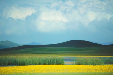 42E6271B-0FE0-4160-8358-AAA05602DC82/L0/001