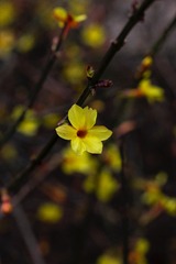 595C942E-31F1-4D88-91F3-C198B9E97E25/L0/001