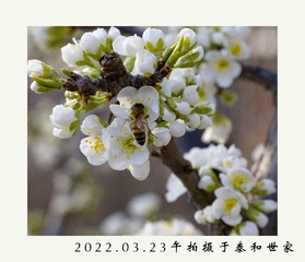 C159E80E-A593-435D-A9BC-F8A8B1289645/L0/001