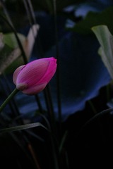06F18BFB-9FD2-4F5C-AF66-ED32406B9597/L0/001