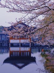 15BD9F87-4ADA-43E2-93B3-62B3D91C3FB7/L0/001