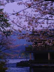 0A640DD2-1625-4C6A-A9B7-2BD0A627E236/L0/001