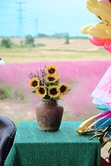BA394076-2789-4D40-A7DA-32E0A21DB7C7/L0/001