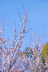 D233F01F-2E89-4999-975C-0AD69599FC09/L0/001