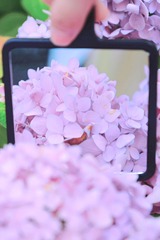 A87562D5-1004-4FAB-A7F1-88864986CF40/L0/001
