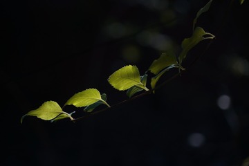 1061117