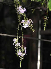 8208D0EF-0348-423A-BF79-ED988EDA8E20/L0/001