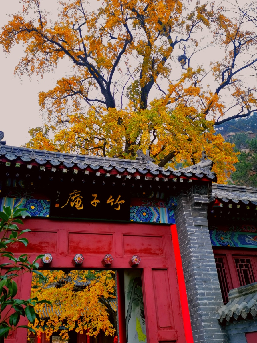 青岛竹子庵