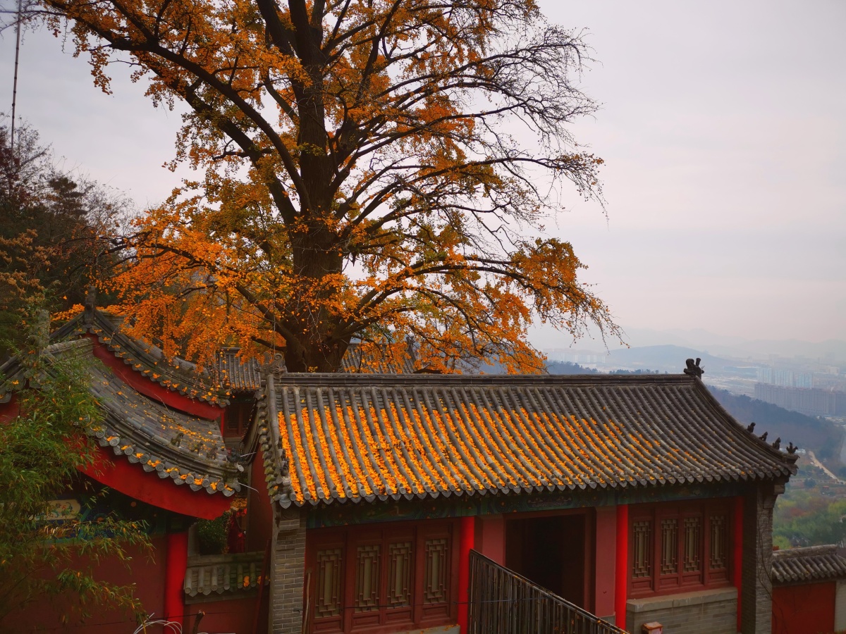 青岛竹子庵