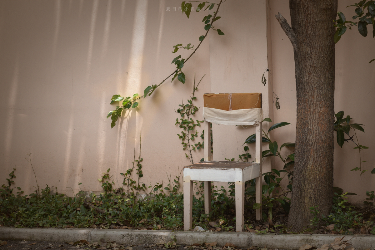 炎炎夏日里小区中的场景