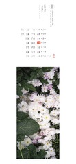 8CE8A059-B722-4D72-BD22-9548D6E2B253/L0/001