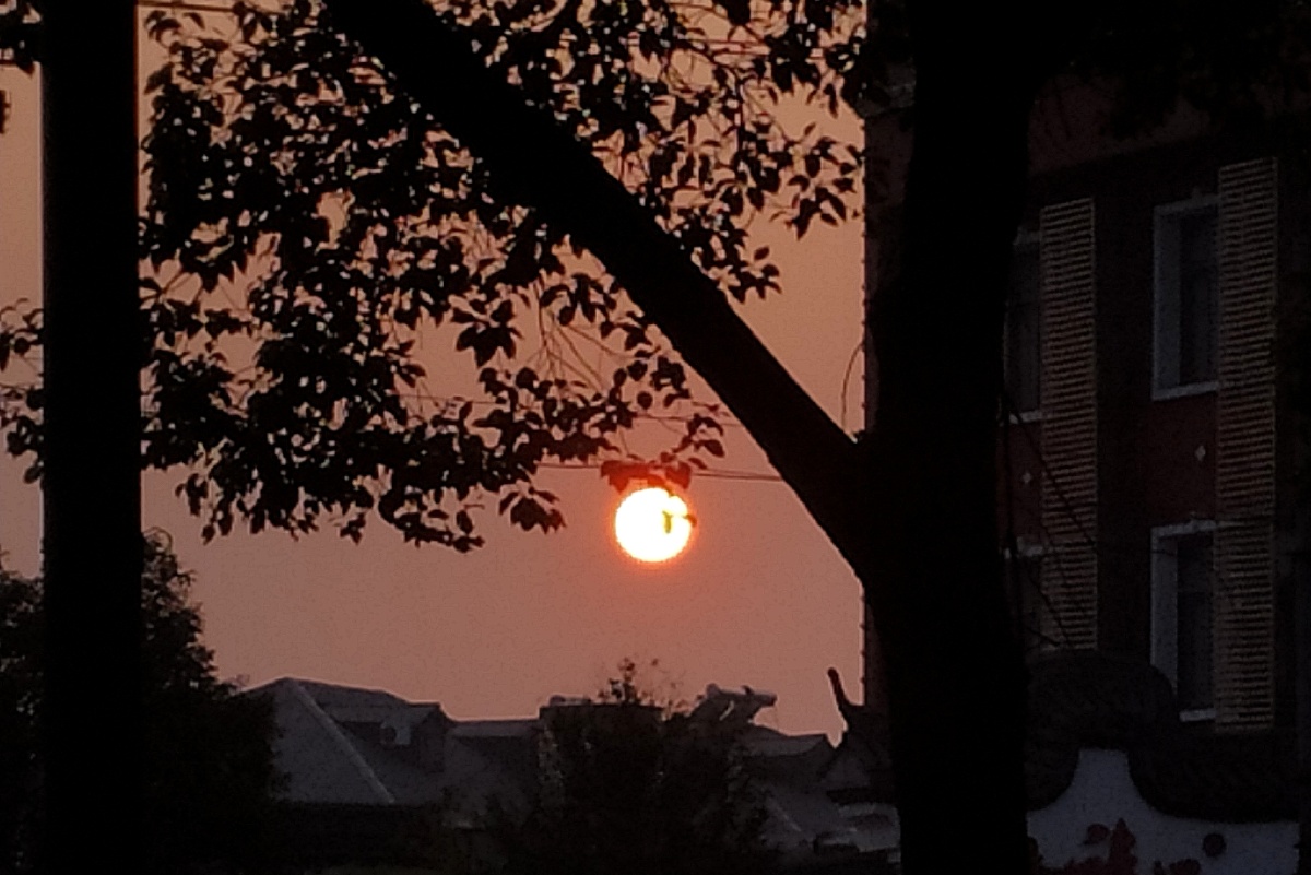 下午四点半的太阳