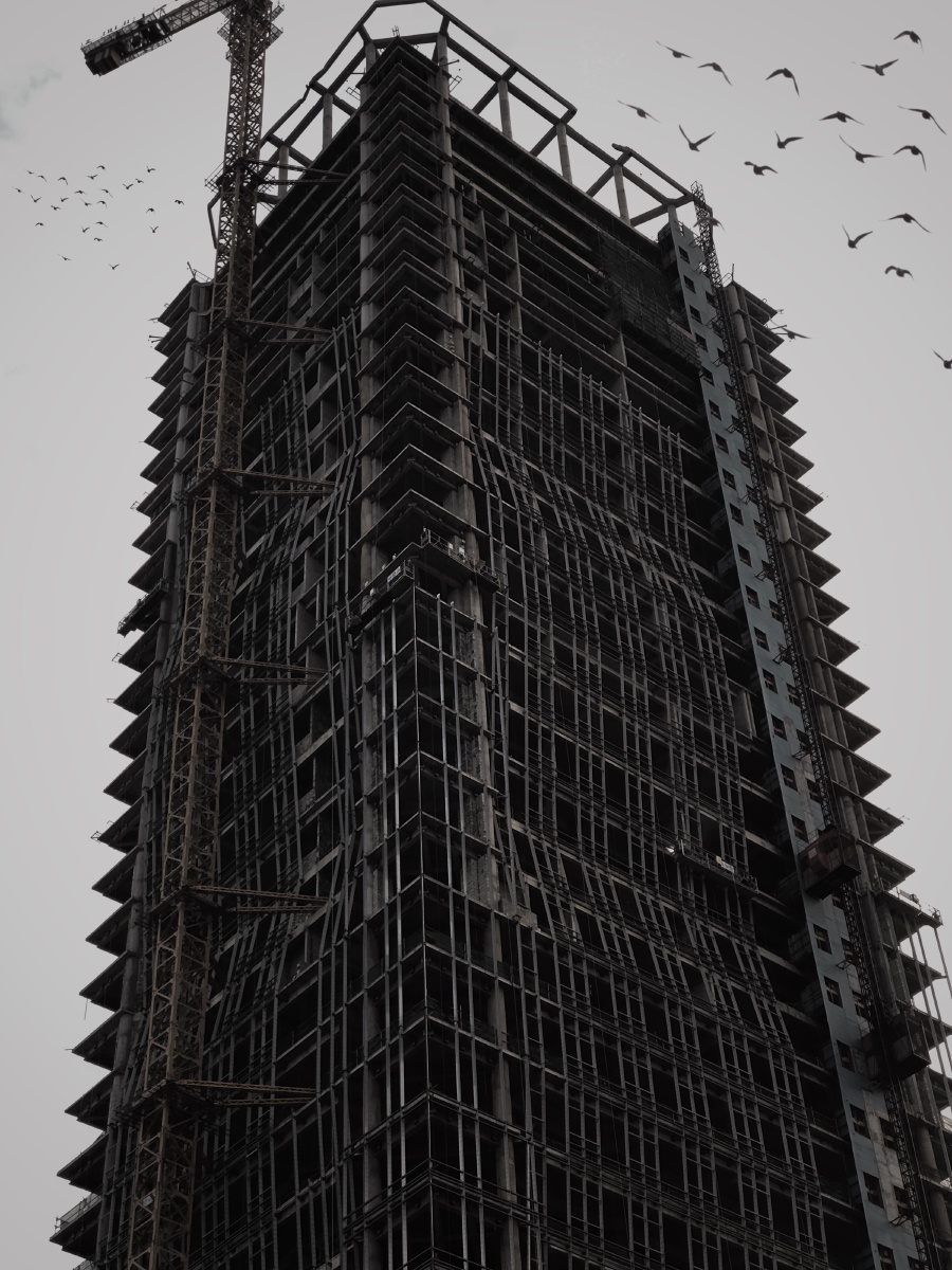 钢筋水泥的城市森林诗和远方到底在哪里