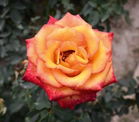 001