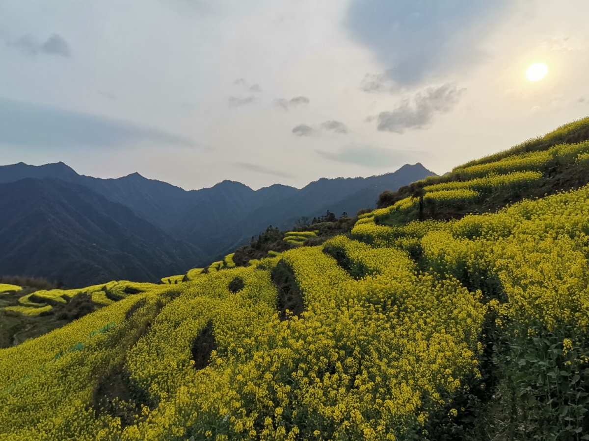 农村生态遇见美好