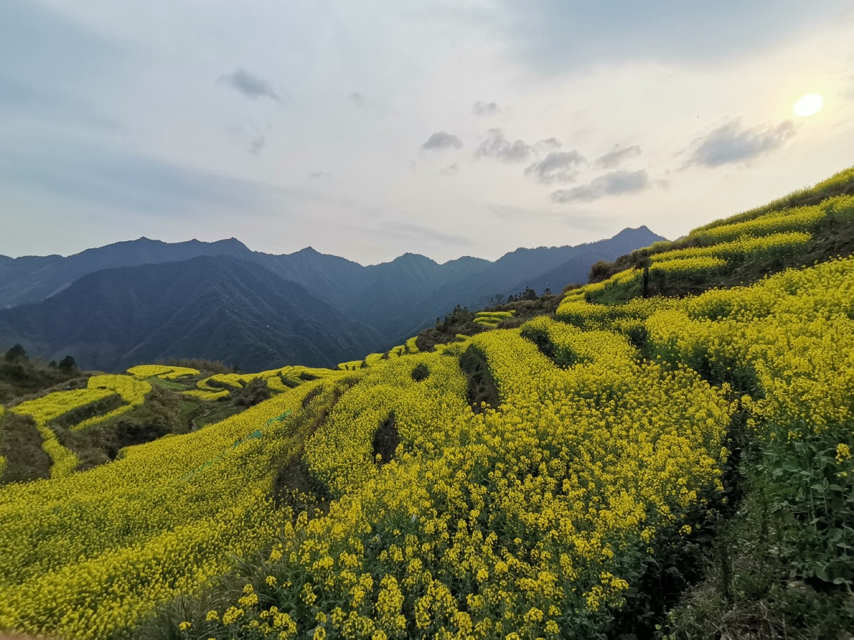 农村生态遇见美好