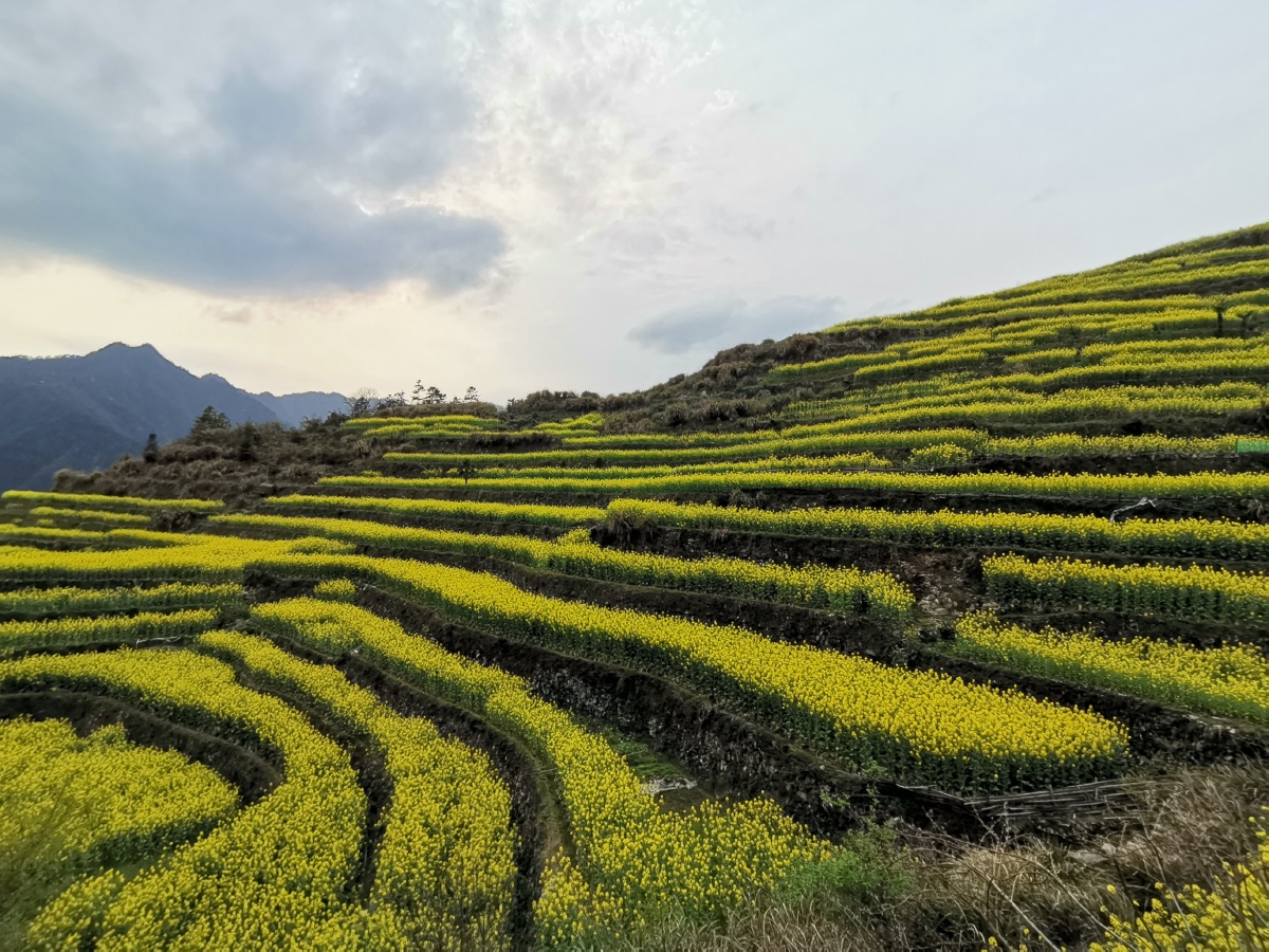 农村生态遇见美好