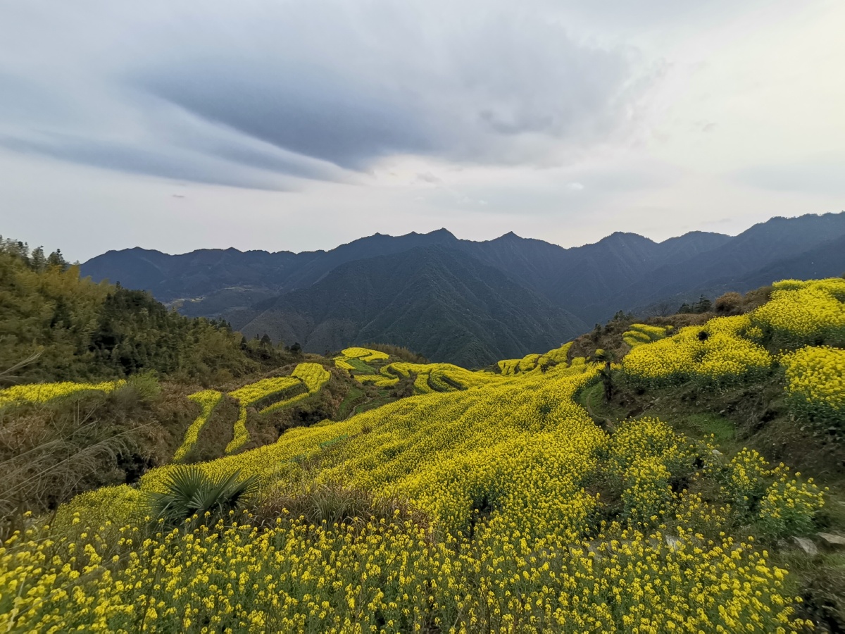 农村生态遇见美好