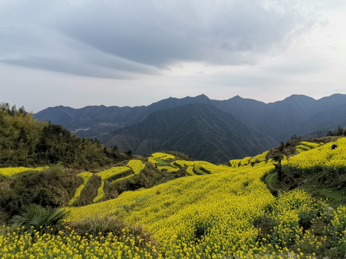 农村生态遇见美好