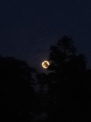 1142583
