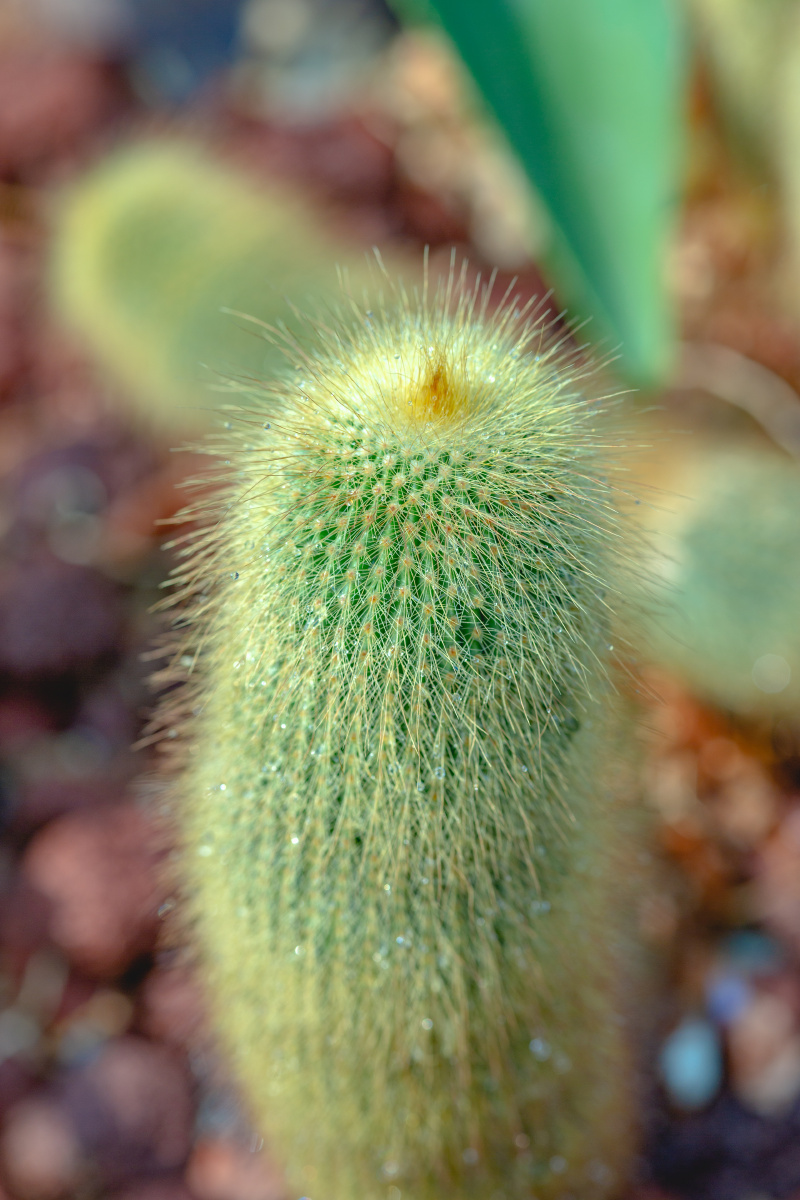 三季报考验科创板成长动力多家企业预计经营业绩良好