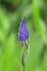001