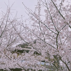 20A1F87A-01BB-467F-845B-7164706C55E6/L0/001