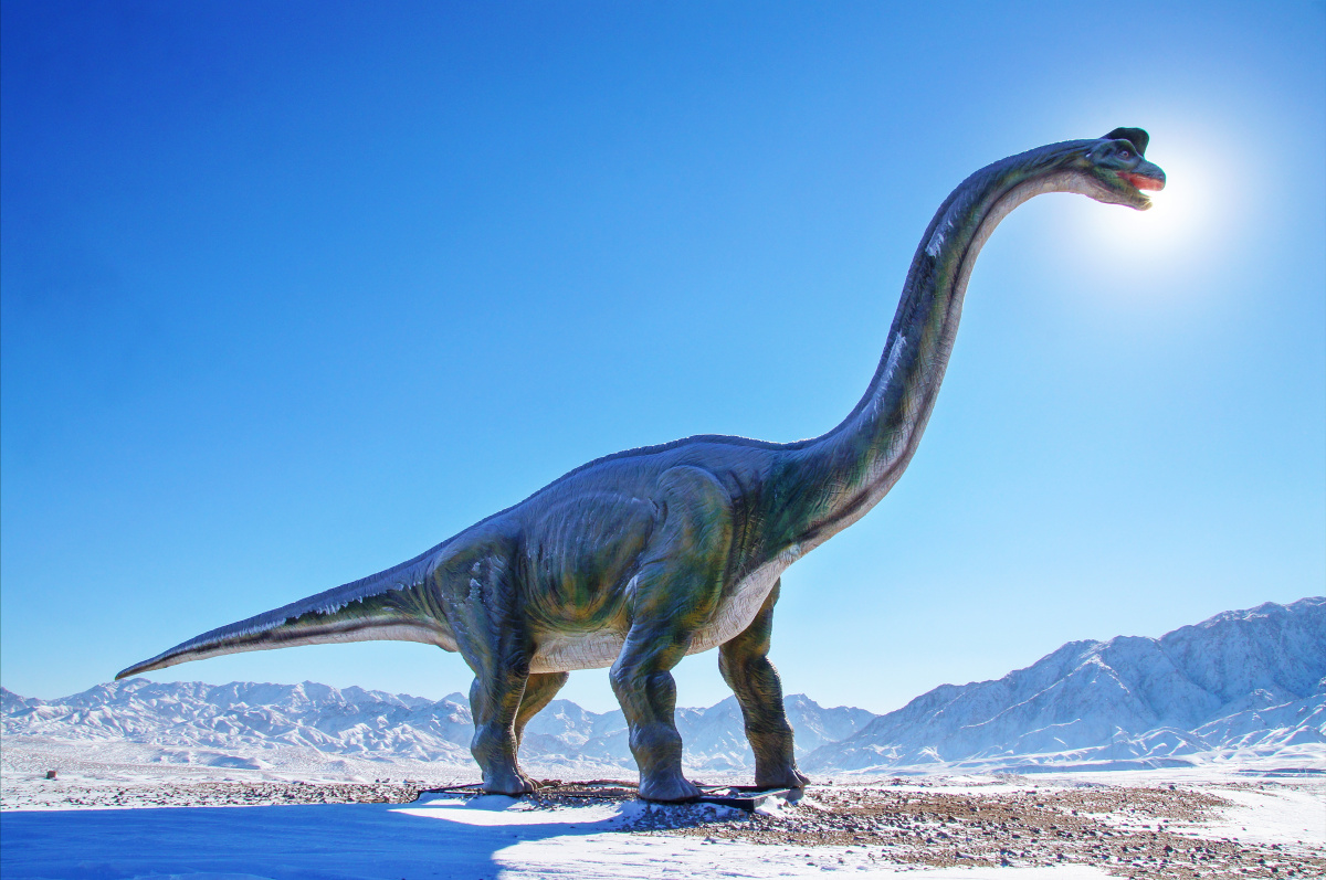 快来当第一个打赏的人吧打赏点赞是美德,打赏是鼓励路边的恐龙雕塑