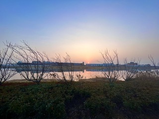 81D6A7EF-1B00-479C-B4C0-F6B5F707B9AA/L0/001
