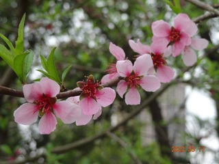 A097D813-F5CF-4E82-8122-EBCD03B242BC/L0/001