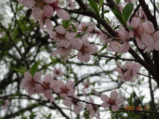 460FA52C-82AE-46B7-B438-899B3B63723C/L0/001