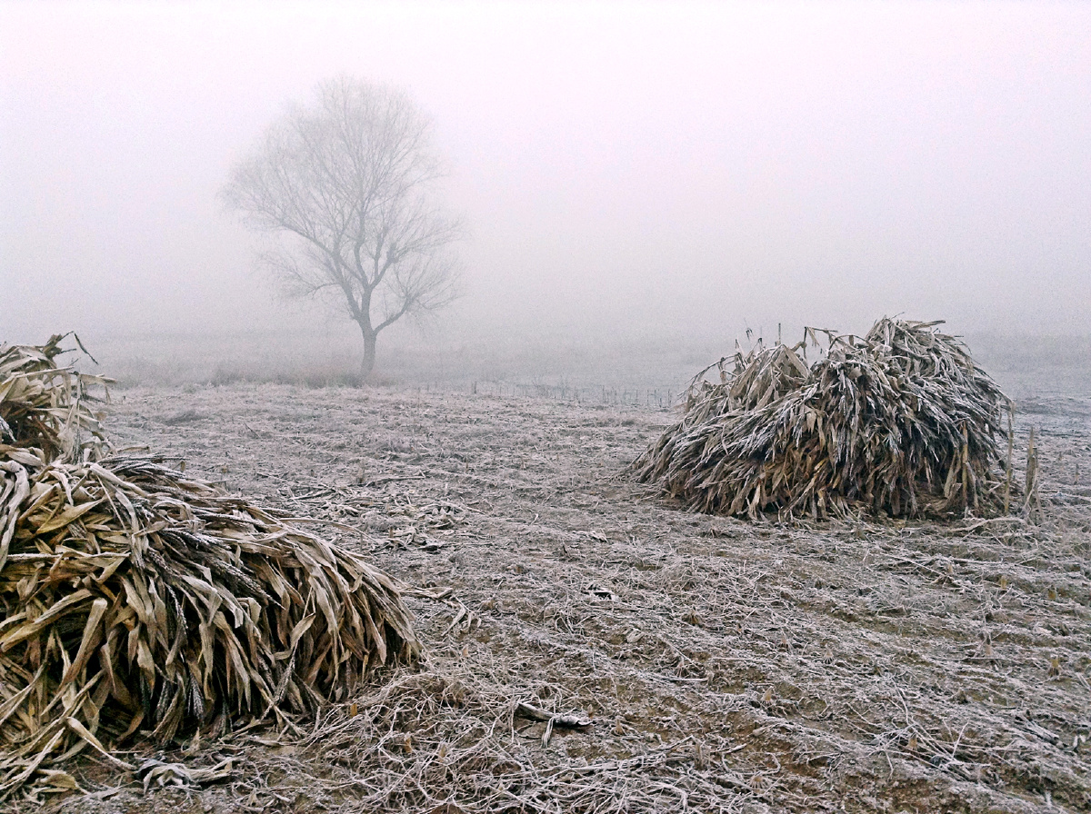 霜天- 格明 - 图虫
