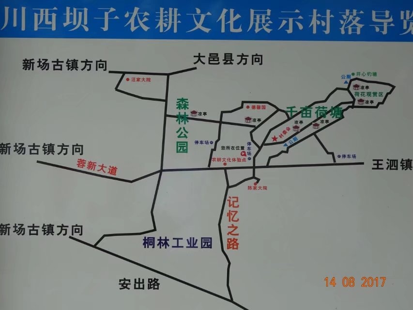 2017立秋大邑新场古镇赏荷花