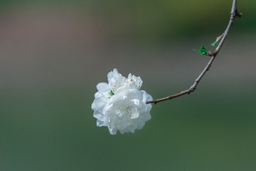 7021